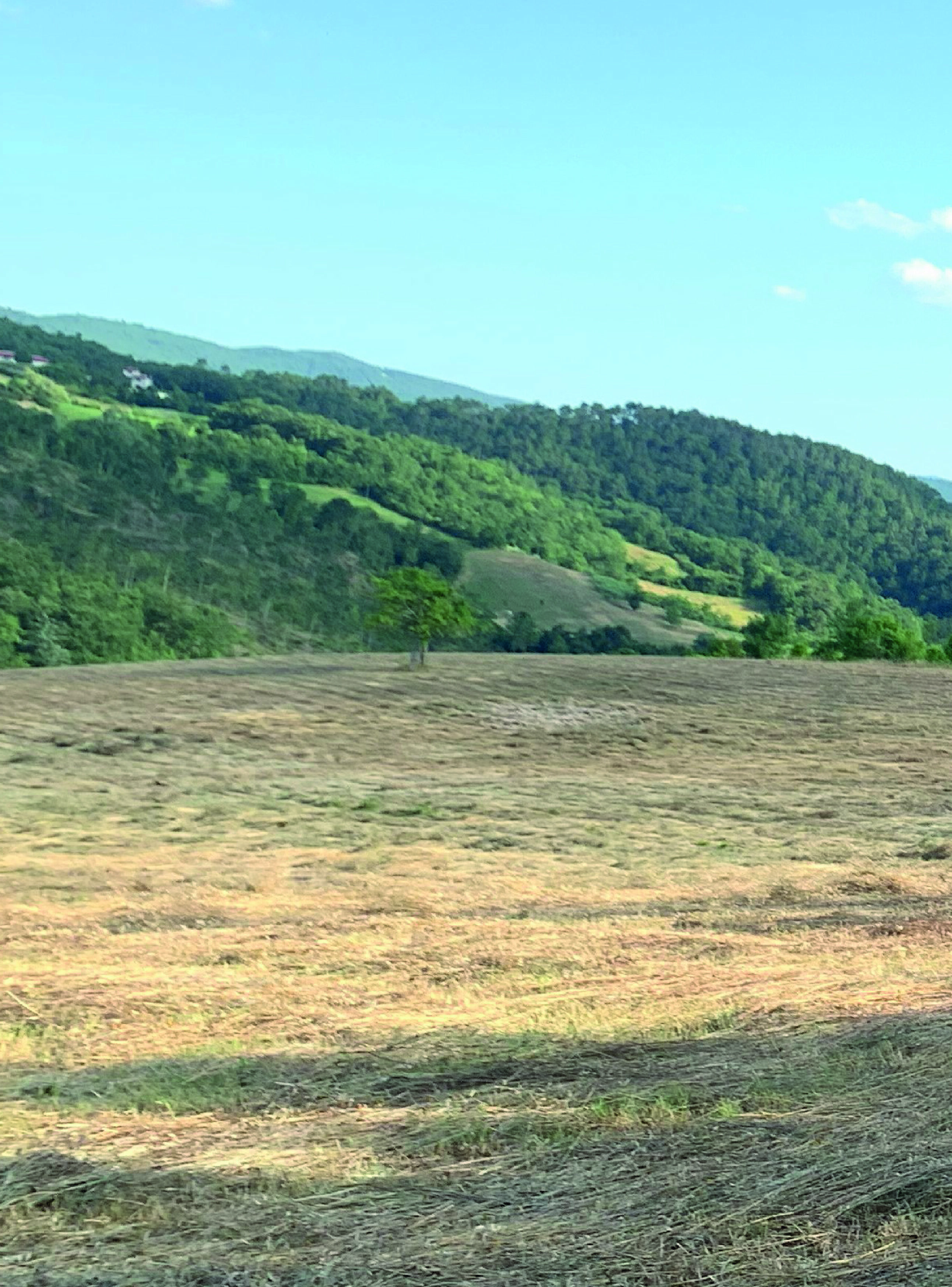 Immagine-di-copertina