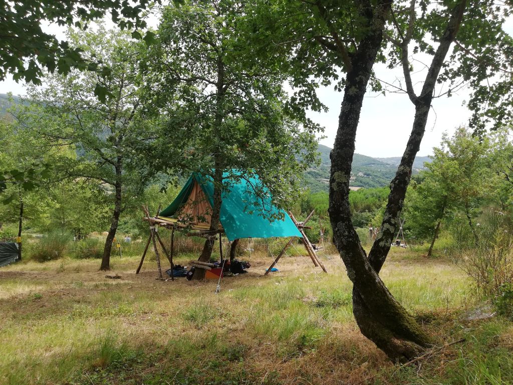 campo1 (7)