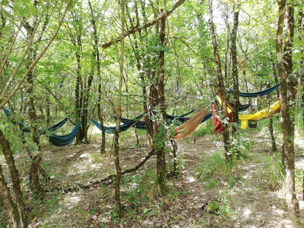 campo1 (9)