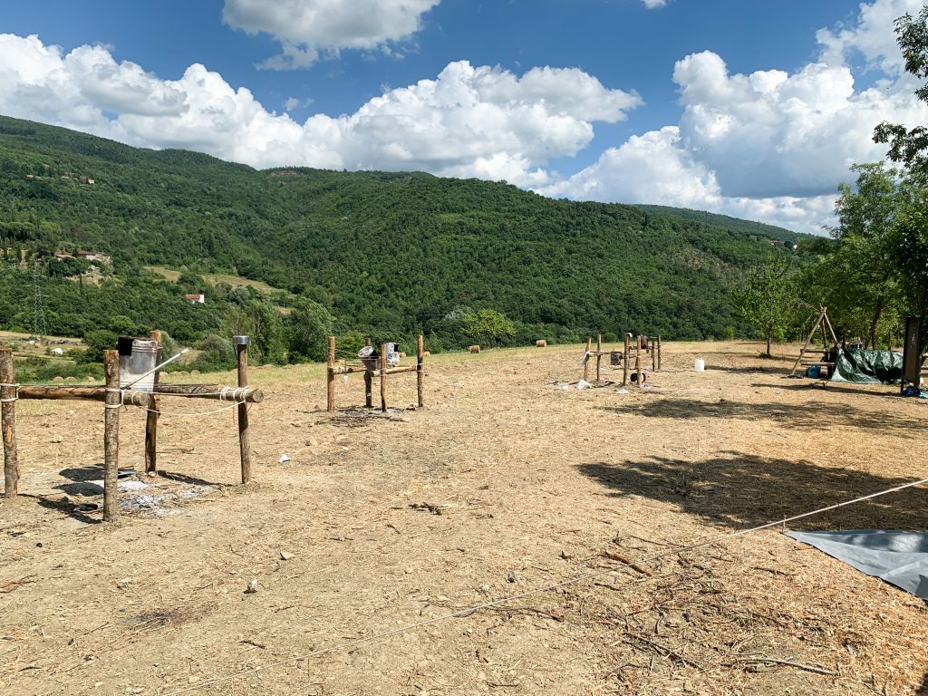 campo2 (18)