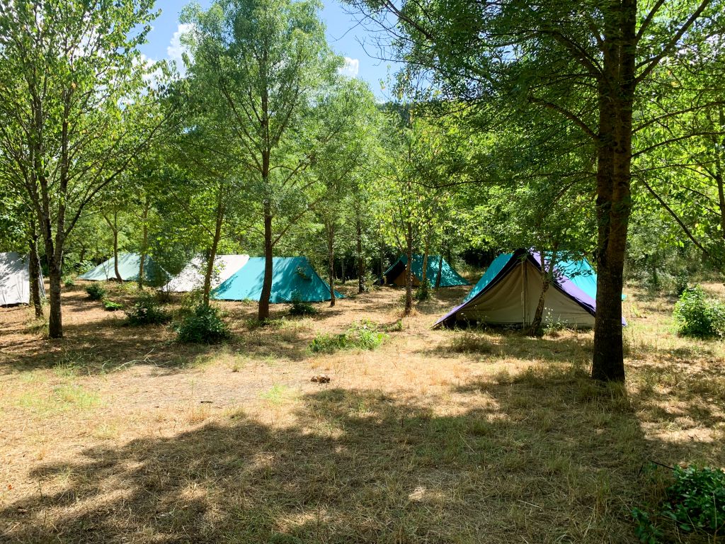 campo2 (19)